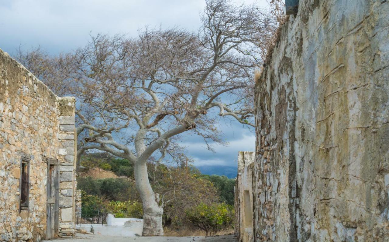 Limeri Traditional Guest House Monolithos  المظهر الخارجي الصورة